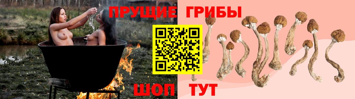 Псилоцибиновые грибы мицелий  Вход с VPN  Галлюциногенные грибы GOLDEN TEACHER  Подольск 