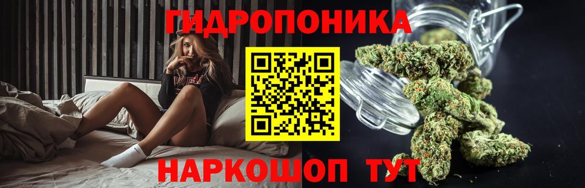 Подольск  Бошки марихуана ГИДРОПОН  Вход с VPN  Бошки Шишки Ganja  Шишки марихуана план 